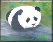 The image for Kid's Camp "Baby Panda"