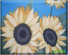 The image for Public Class "Sunflowers"