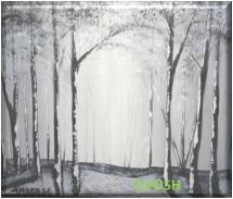 The image for Public Class "Misty Forest"