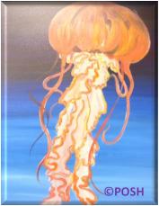 The image for Public Class "Jellyfish"