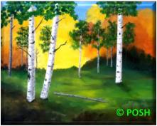 The image for Public Class "Aspen Tranquility"