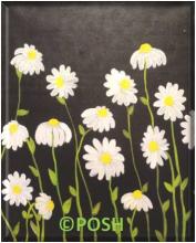 The image for Public Class "Daisy Doodles"