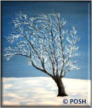 The image for Public Class "Icy Wonderland"