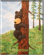 The image for Kid's Camp "Bear Cub"