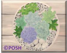 The image for Kid's Camp "Circle of Succulents"