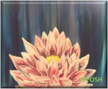The image for Public Class "Lotus in Bloom"