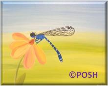 The image for Kid's Camp "Darling Dragonfly"