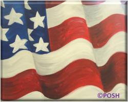 The image for Kid's Camp "American Flag"