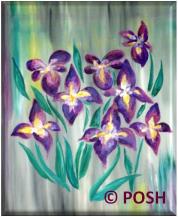 The image for Public Class "Iris Magic"