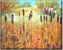 The image for Public Class "Cattails"