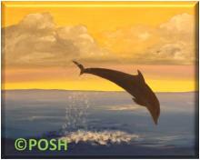 The image for Family Day "Dolphin Fun"