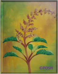 The image for Public Class "Tulsi"