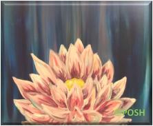The image for Kid's Camp "Lotus in Bloom"