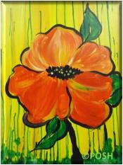 The image for Public Class "Poppy Drop"