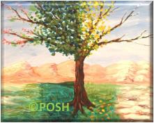 The image for Kid's Camp "Seasons Tree"
