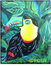 The image for Public Class *NEW* "Toucan"