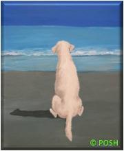 The image for Public Class "Lab on the Beach"