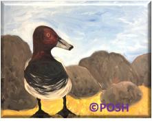 The image for Public Fundraiser Class "Redhead Duck"
