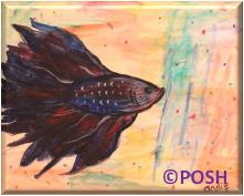 The image for Kid's Camp "Betta Fish"
