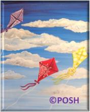 The image for Public Class "Kite in Flight"