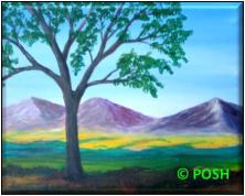 The image for Public Class "Colorado Middle Park"