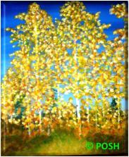 The image for Public Class "Aspen Autumn"